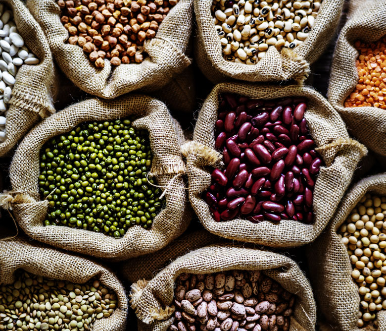 Trading and Distribution